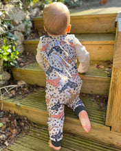 Load image into Gallery viewer, Autumn Pre-order Rompers
